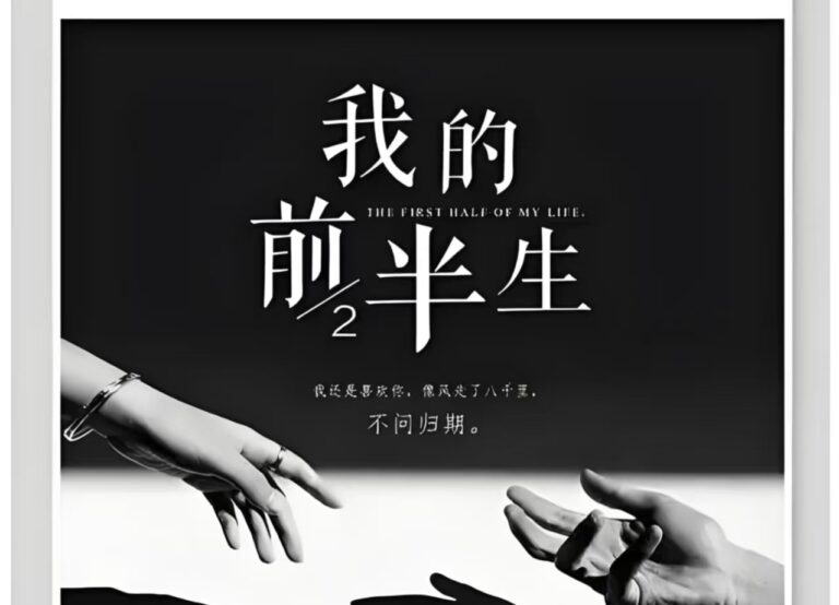 我的前半生 简笔画风格