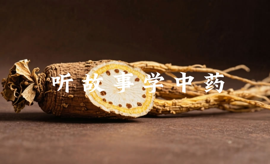 听故事学中药【支持自定义文案 低消耗】